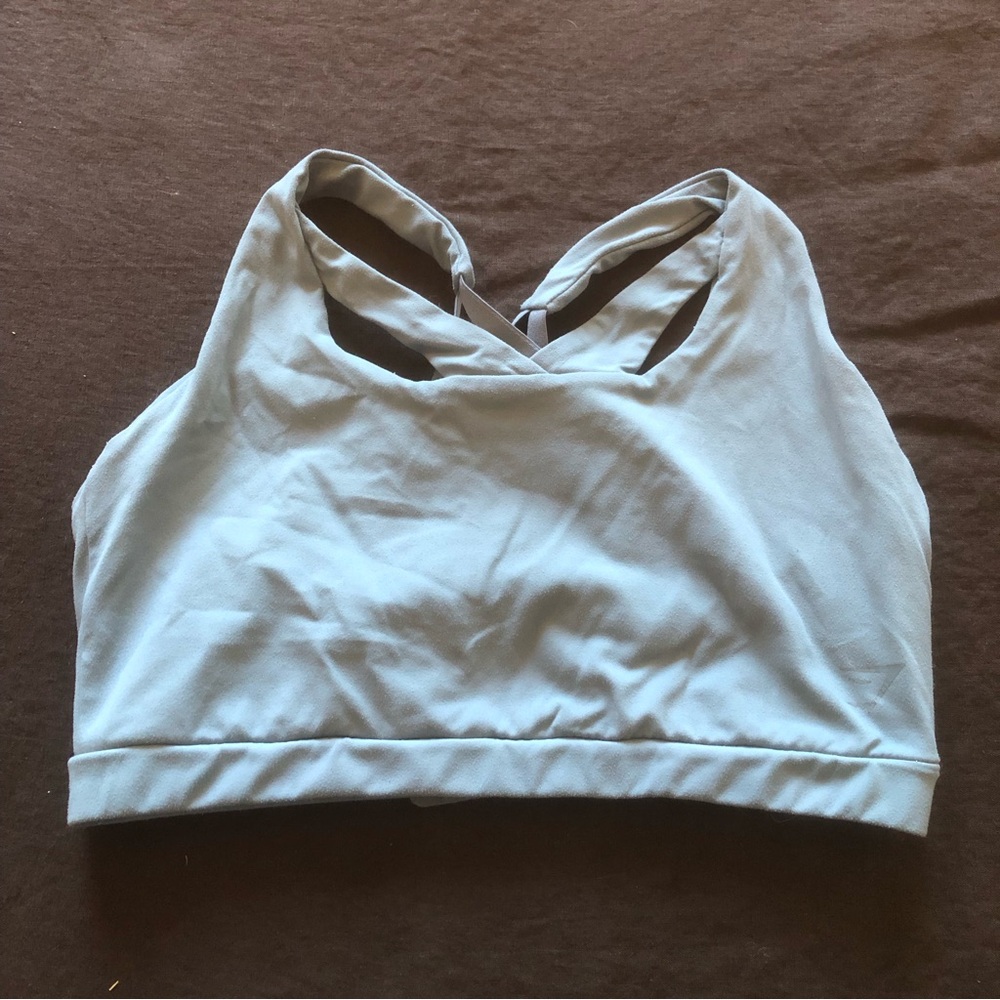 Sculpt Sports Bra (blue)
